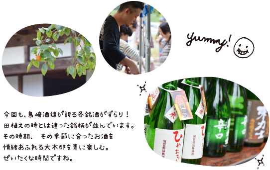 今回も、島崎酒造が誇る各銘酒がずらり！田植えの時とは違った銘柄が並んでいます。その時期、その季節に合ったお酒を情緒あふれる大木邸を背に楽しむ。ぜいたくな時間ですね。